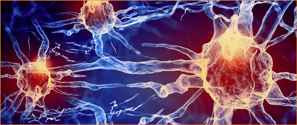 Featured image for “Promising MS Stem Cell Trial Advances to Next Phase”