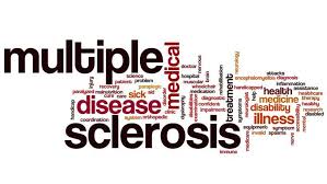 Featured image for “The Ultimate Guide to MS for the Newly Diagnosed”