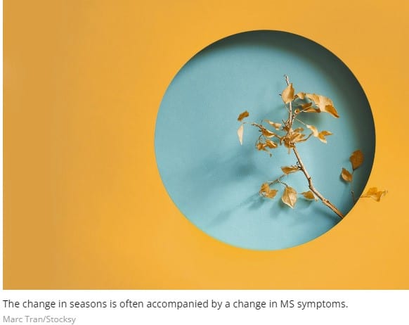 Featured image for “The Effect of Seasonal Changes on Multiple Sclerosis”