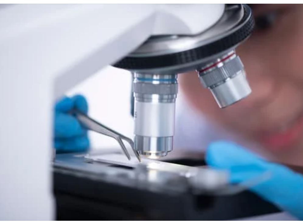 Featured image for “Foralumab Nasal Spray May Offer New Hope for MS Treatment”