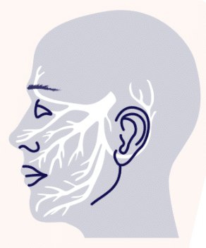 Featured image for “Trigeminal neuralgia and MS”